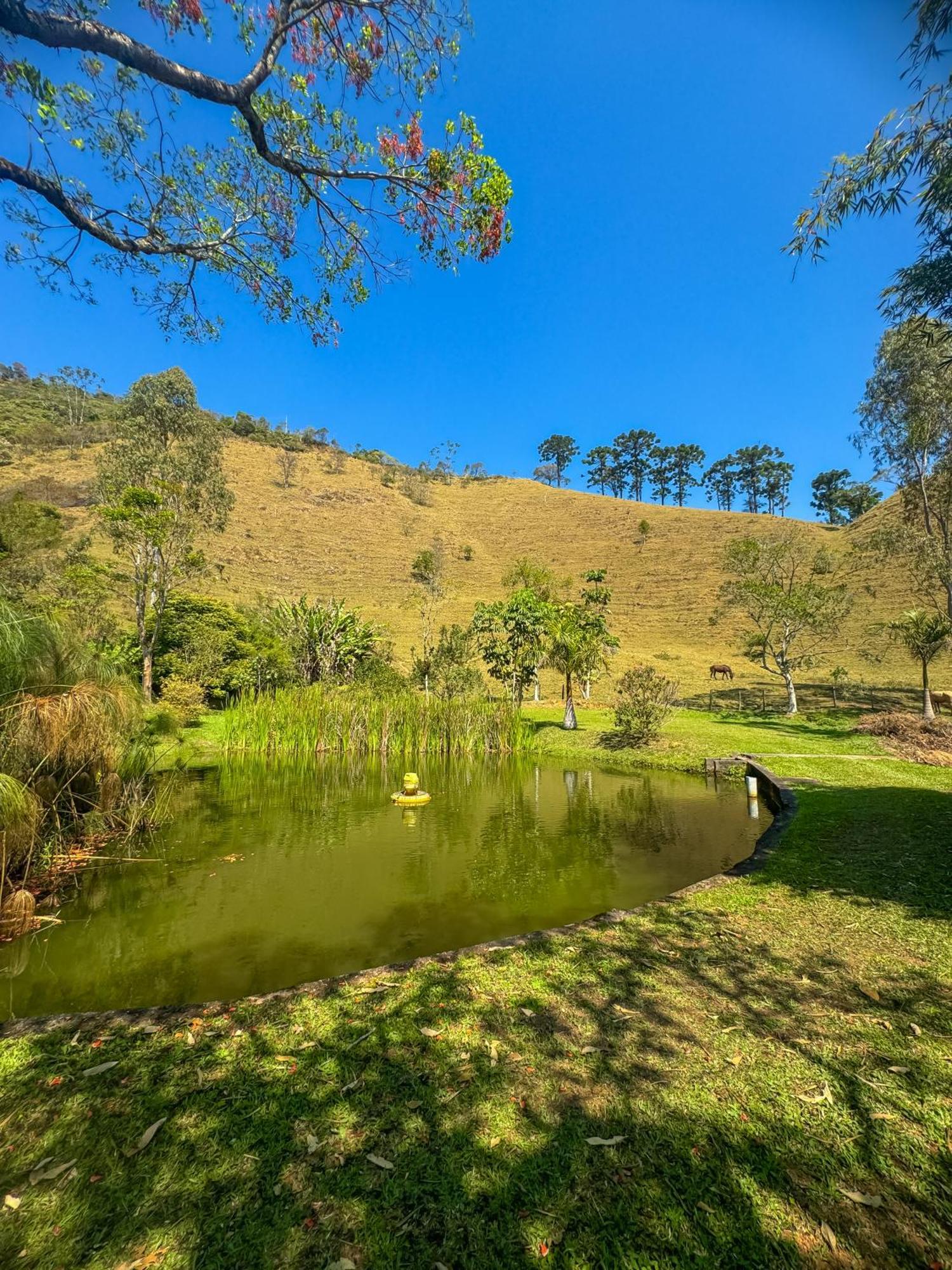 Pousada Rio Dos Cristais วิสกอนจิ จิ เมาอา ภายนอก รูปภาพ
